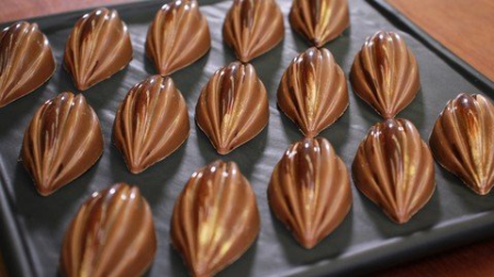 Basic Chocolate & Praline By World Pastry Champion