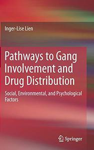 Pathways to Gang Involvement and Drug Distribution Social, Environmental, and Psychological Factors