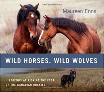 Wild Horses, Wild Wolves Legends at Risk at the Foot of the Canadian Rockies