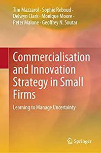 Commercialisation and Innovation Strategy in Small Firms