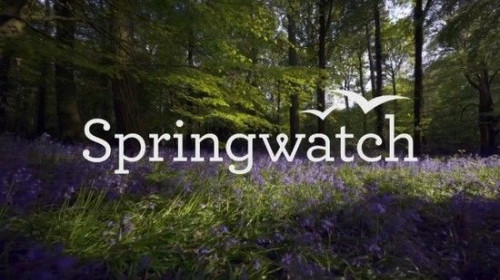BBC - Springwatch Extras (2022)