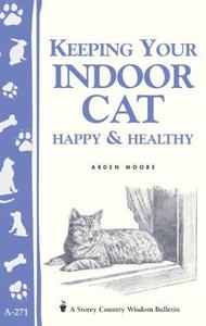 Keeping  Your Indoor Cat Happy & Healthy