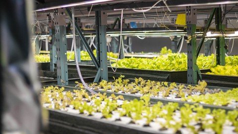 Udemy - Future Farms Hydroponics Course