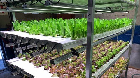 Future Farms Understanding Growlights For Hydroponics