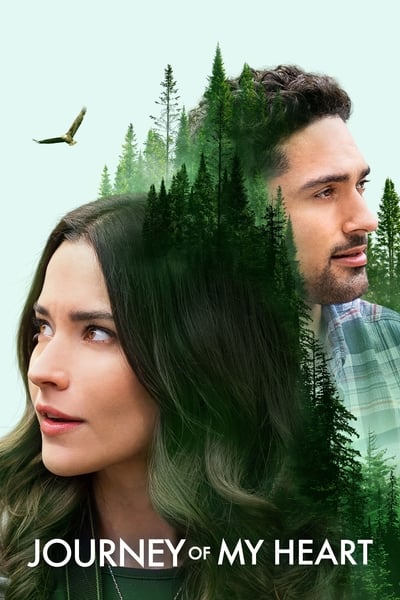 Love On The Wings Of Eagles (2021) 720p WEB-DL H264 BONE