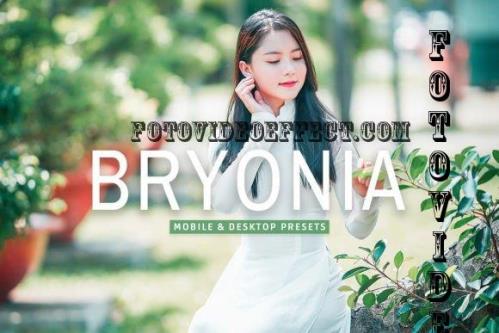 Bryonia Pro Lightroom Presets