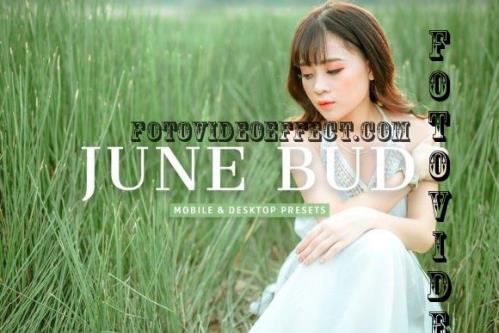 June Bud Pro Lightroom Presets