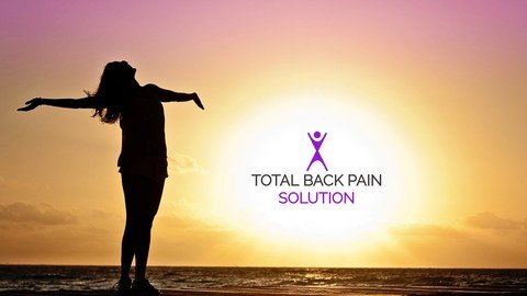 Udemy - The Total Back Pain Solution