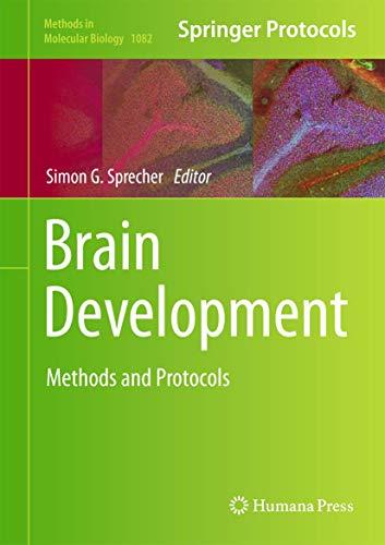 Brain Development: Methods and Protocols, 1st Edition