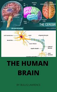 THE HUMAN BRAIN 2022 Physiology of the Human Brain