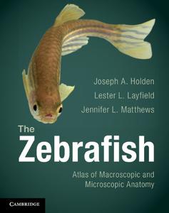 The Zebrafish: Atlas of Macroscopic and Microscopic Anatomy