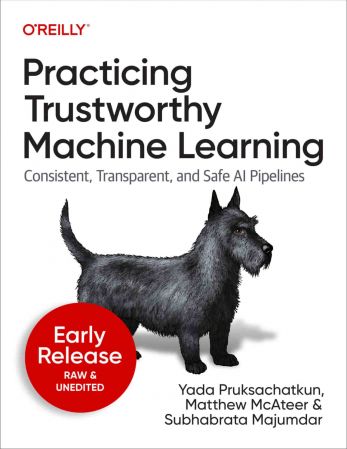 Practicing Trustworthy Machine Learning (Second Early Release)
