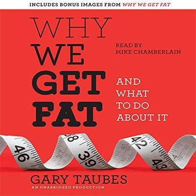 Why We Get Fat And What to Do About It (Audiobook)
