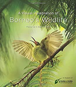 A Visual Celebration of Borneo's Wildlife