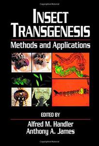 Insect transgenesis  methods and applications