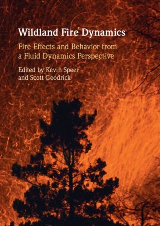 Wildland Fire Dynamics: Fire Effects and Behavior from a Fluid Dynamics Perspective