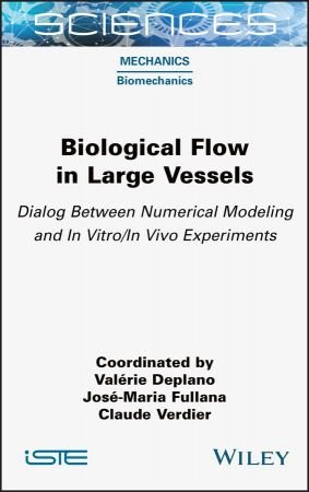 Biological Flow in Large Vessels Dialog Between Numerical Modeling and In VitroIn Vivo Experiments