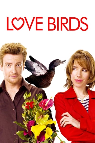Love Birds (2011) 1080p BluRay x265-RARBG