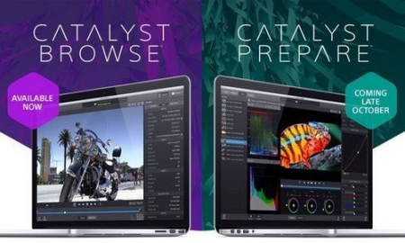 Sony Catalyst Browse / Prepare Suite 2022.1