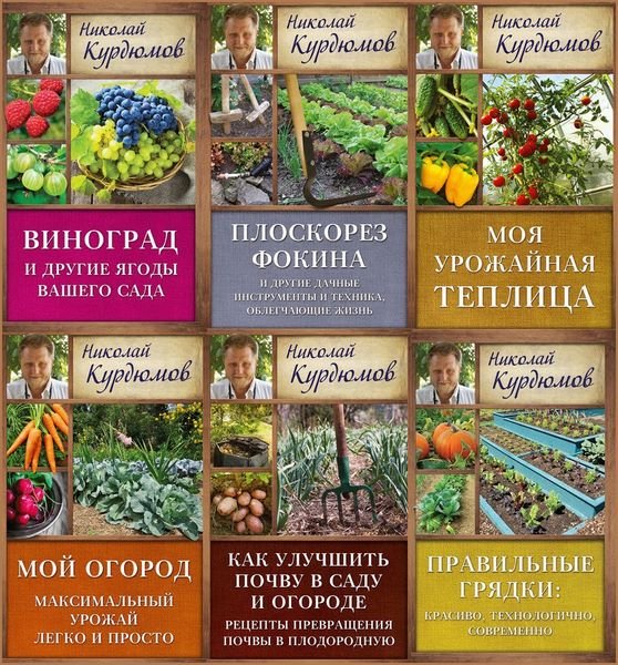 Дачная школа Николая Курдюмова в 19 книгах (FB2)