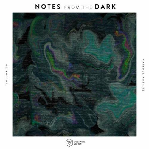 Notes from the Dark, Vol. 20 (2022)