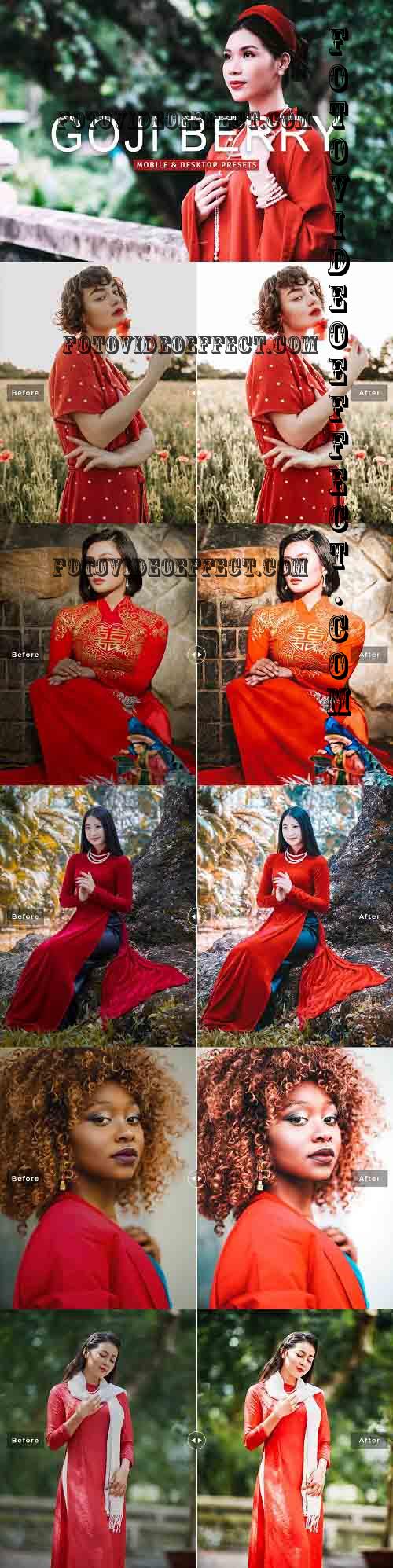 Goji Berry Pro Lightroom Presets - 7389007