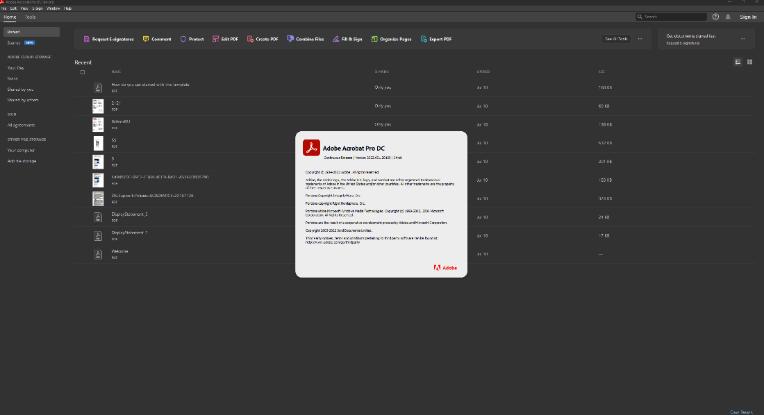 Adobe Acrobat Pro DC 2022.001.20169 (x64) Multilingual 36e7e1d7977e6ef5c186810acc0697cd