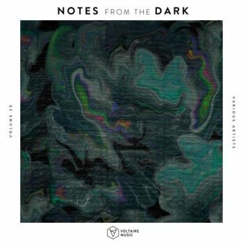 VA - Notes from the Dark, Vol. 20 (2022) (MP3)