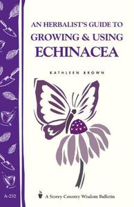 An herbalist’s guide to growing & using echinacea