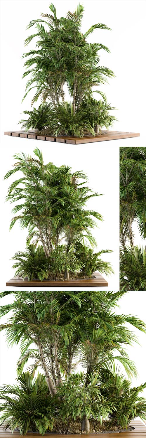 Garden set Tropical bush and Tree - Garden Set 05 3D Model
