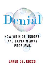 Denial How We Hide, Ignore, and Explain Away Problems