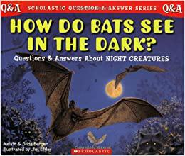 Scholastic Q & A How Do Bats See In The Dark