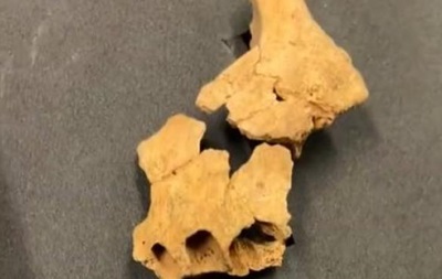 В Испании нашли лицевые кости первого жителя Европы