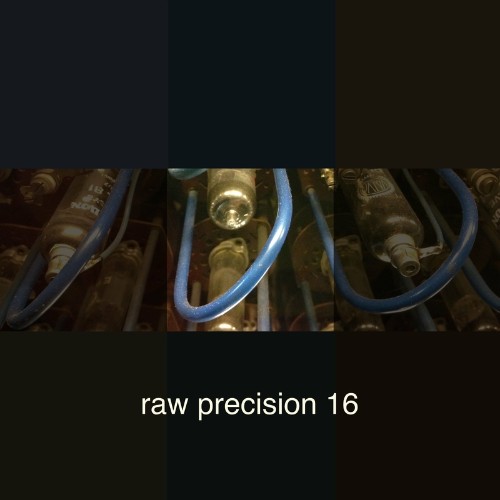 VA - Raw Precision 16 (2022) (MP3)