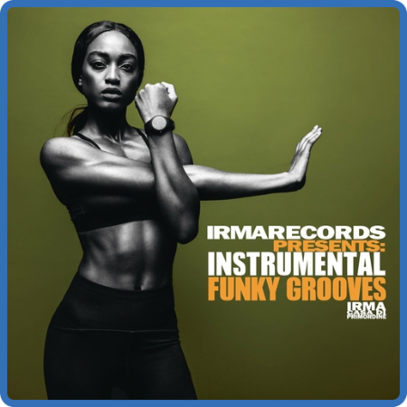 VA - Instrumental Funky Grooves (2022) MP3