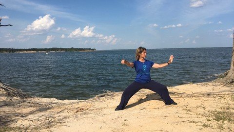 Learn Tai Chi; Beginner Yang Style Tai Chi