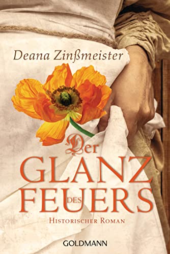 Cover: Deana Zinßmeister  -  Der Glanz des Feuers