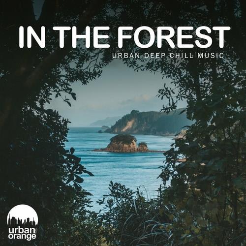 In the Forest Urban Deep Chill Music (2022)