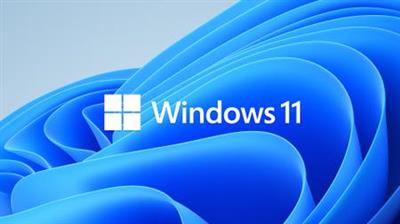 Windows 11 Enterprise 21H2 Build 22000.795 Multilanguage July 2022 (x64) 