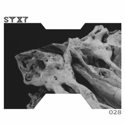 VA - RONY Group - SYXT028 (2022) (MP3)