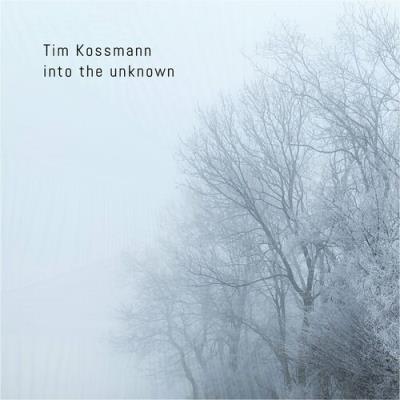 VA - Tim Kossmann - Into the Unknown (2022) (MP3)