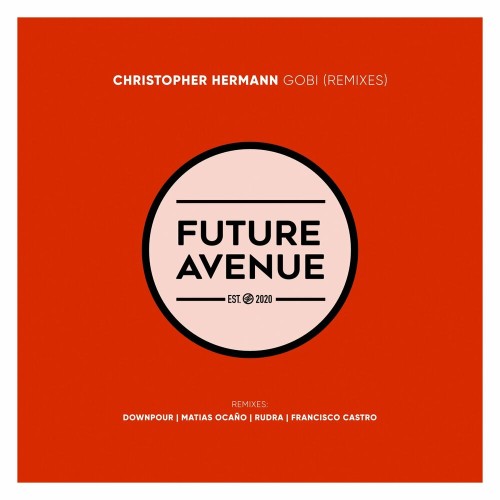 VA - Christopher Hermann - Gobi (Remixes) (2022) (MP3)