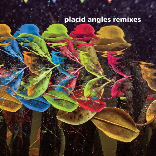 Placid Angles - Placid Angles (Touch The Earth Remixes) (2022)