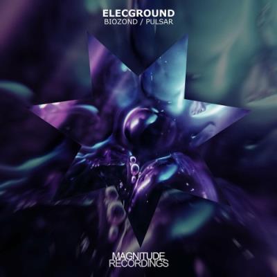 VA - ELECGROUND - BioZond / Pulsar (2022) (MP3)