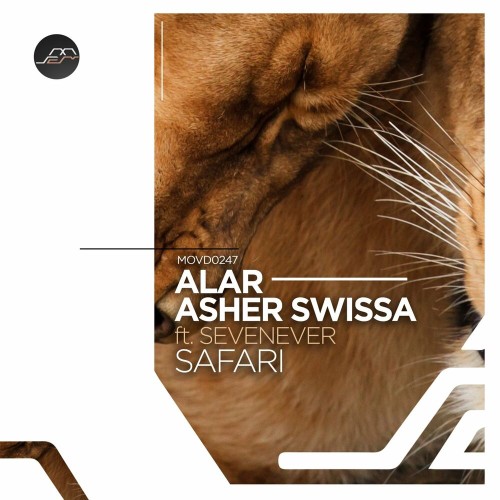 VA - Asher Swissa & Alar - Safari (2022) (MP3)