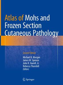 Atlas of Mohs and Frozen Section Cutaneous Pathology, Second Edition 