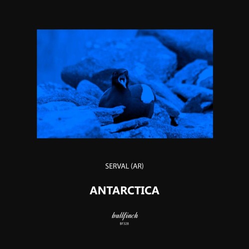 VA - Serval (AR) - Antarctica (2022) (MP3)
