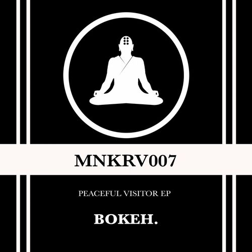 VA | Bokeh. - Peaceful Visitor EP (2022) MP3