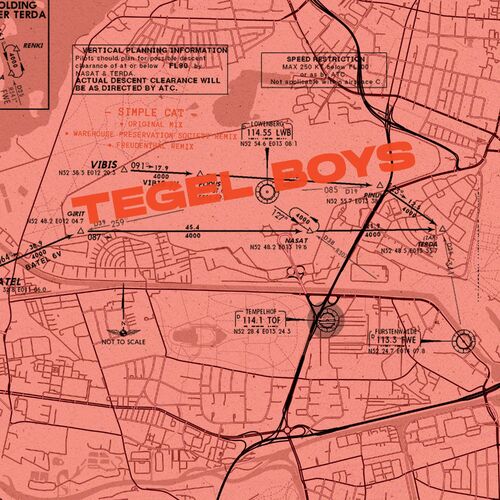 Tegel Boys feat. Warehouse Preservation Society - Simple Cat (2022)