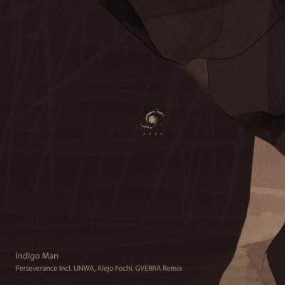 VA - Indigo Man - Perseverance (Remixes) (2022) (MP3)